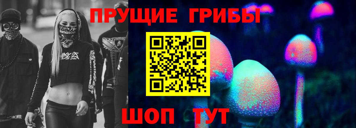 Псилоцибиновые грибы Psilocybe Красногорск